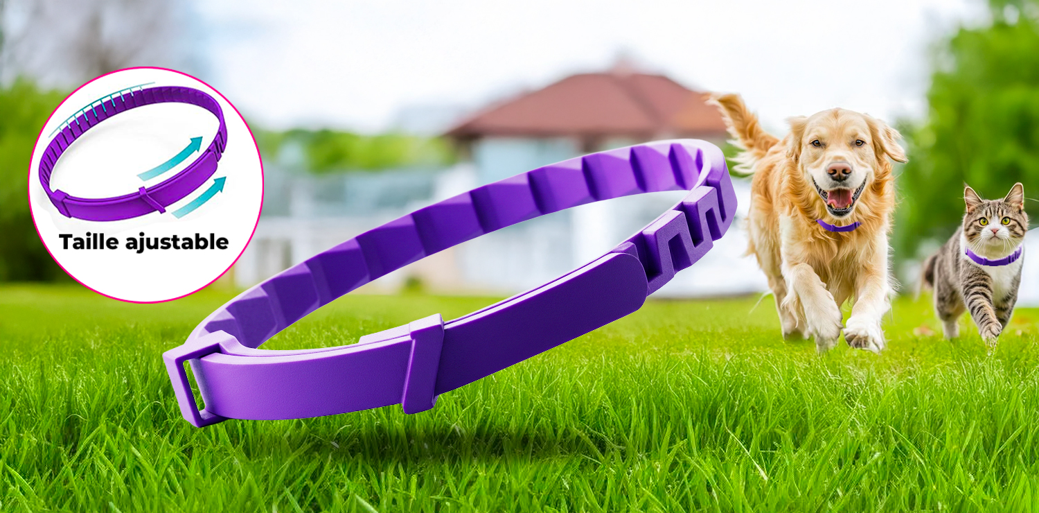 Collier apaisant révolutionnaire et magique pour chien ou chat