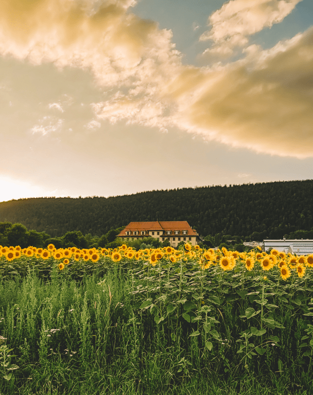 Neuchâtel-Jura